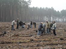 Sadzenie lasu przez pracowników RDLP w Zielonej Górze