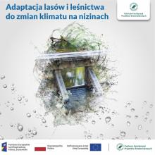 Kompleksowy projekt adaptacji lasów i leśnictwa do zmian klimatu – mała retencja oraz przeciwdziałanie erozji wodnej na terenach nizinnych – kontynuacja (MRN3)