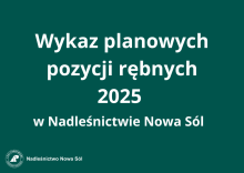 WYKAZ PLANOWANYCH POZYCJI RĘBNYCH W 2025 ROKU W NADLEŚNICTWIE NOWA SÓL
